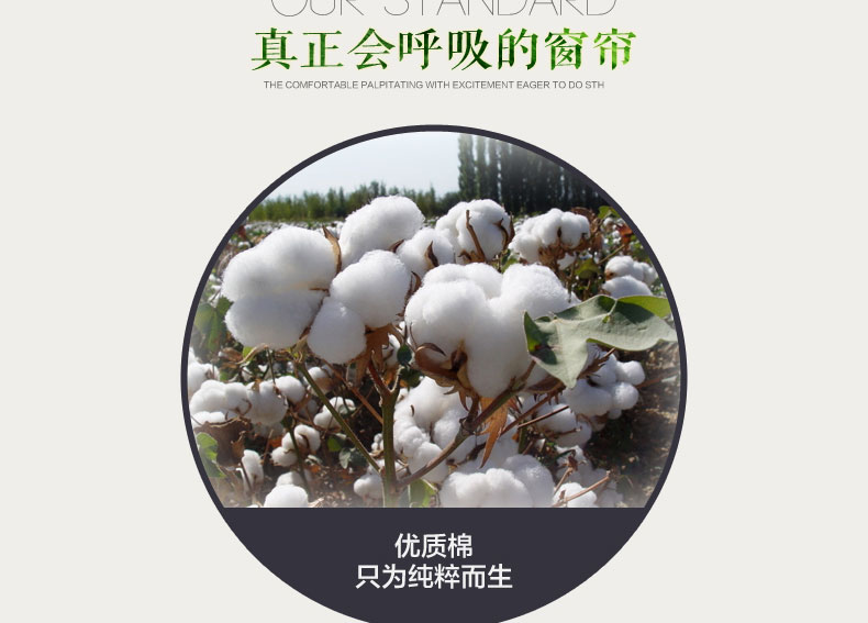 
                                        铭聚布艺 简约田园棉布印花半遮光定制窗帘 花舞 紫-窗帘-打孔式 3.5米宽*2.65米高                