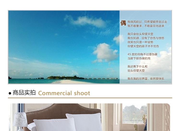 DDH  法莱绒毛毯 盖毯 秋冬轻柔纯色毛毯绒毯 珊瑚绒法莱绒加厚床单 银灰色 180*200cm