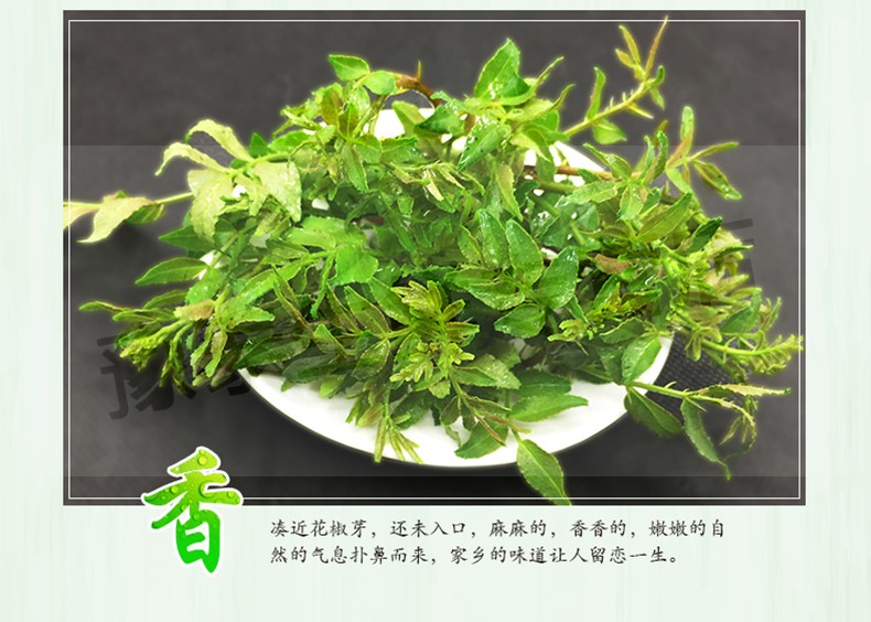 山东新鲜花椒芽嫩芽菜山野菜蔬菜 1kg_ 5折现价98元