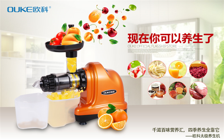 欧科（OUKE）OK8081A 榨汁机多功能家用搅拌料理机果汁机绞肉米糊机豆浆机