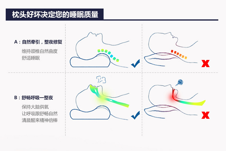 
                                        晶玺 枕头枕芯 蝶形慢回弹记忆枕头芯 藏蓝-双只装                