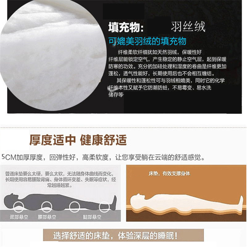 
                                        度艾妮家纺 羽丝绒床垫床褥子 加厚柔软舒适 单双人学生宿舍垫被 灰色-标准5cm 90*200cm                