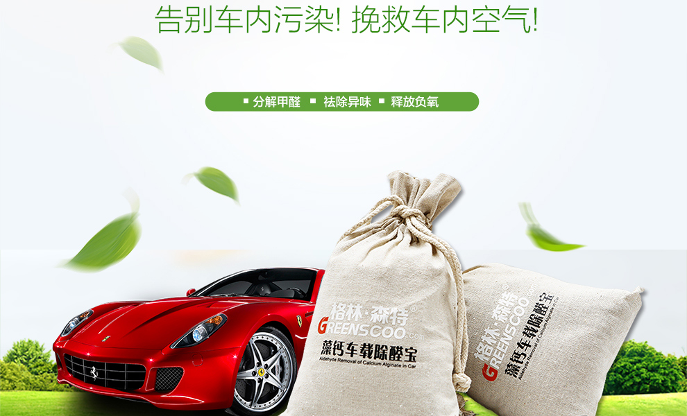 格林·森特 藻钙汽车除甲醛去味800g 汽车除味专用车用空气清新 新车净化去味除甲醛