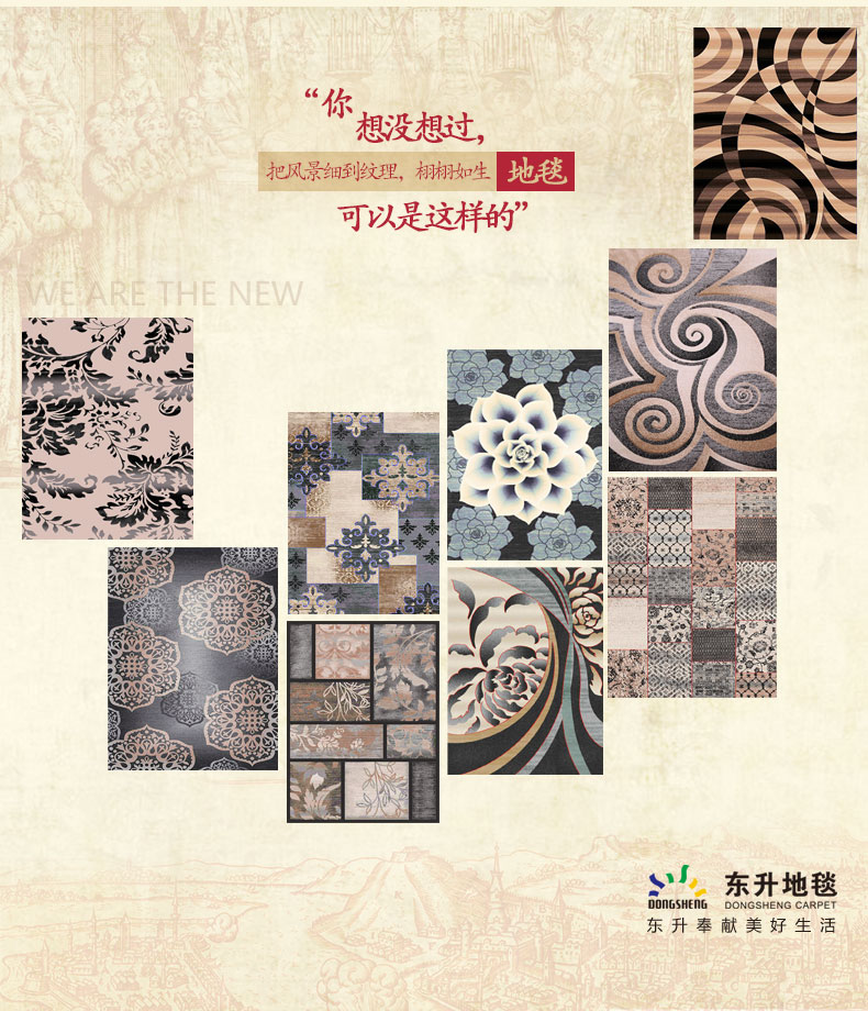 东升地毯 法斯特土耳其进口 现代简约茶几沙发卧室床边床前飘窗大地毯地垫 038A灰 160x230cm