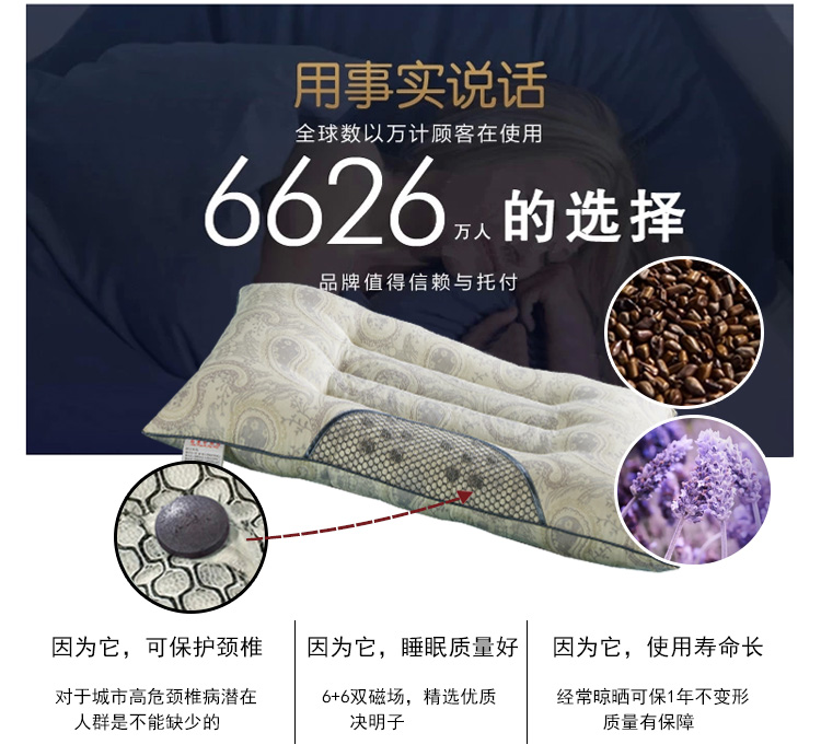 
                                                            枕芯枕头决明子薰衣草荞麦药草护颈枕学生宿舍单人枕头芯一对拍2 蓝格-单只装                