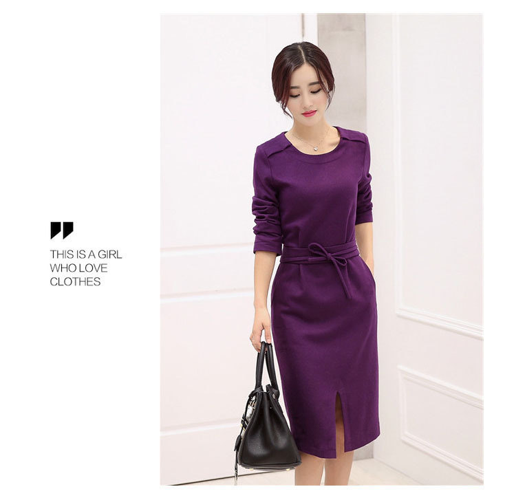 莱瑞丽 2015秋冬女装装新款长袖毛呢连衣裙 9051 图片色 M