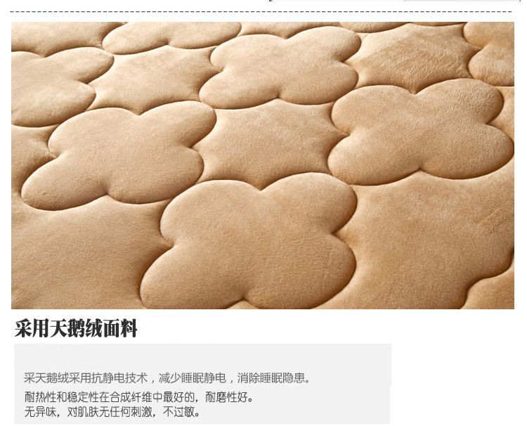 
                                        绚典家纺 天鹅绒储热床垫床褥 柔软保暖榻榻米垫 单双人床护垫 玉色 180cm*200cm                