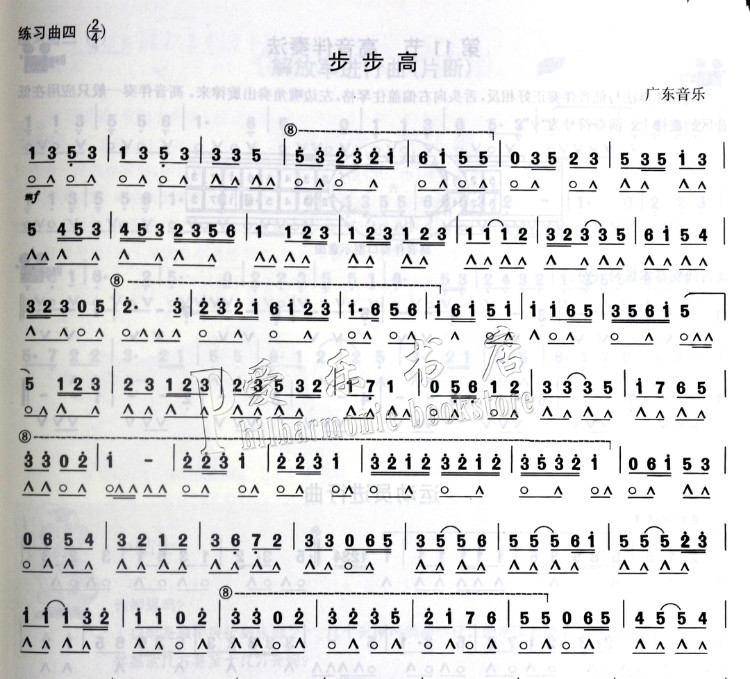 轻松自学口琴教程 自学书籍视频教学半音阶24孔复音基础口琴教材.