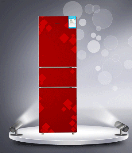 中国冰箱压缩机行业运行动态分析及发展趋势研究报告2016-2021年