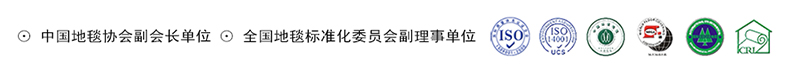 欧碧雅 纯色毛绒简约客厅地毯 卧室餐厅卫生间厨房羊绒地毯地垫 抹茶绿色 600MMx900MM