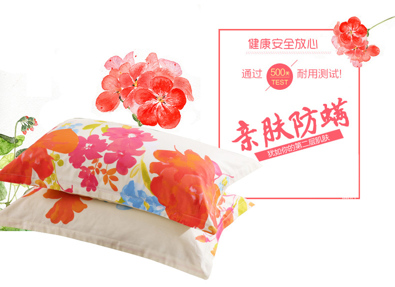 华锦添 枕套单件 纯棉全棉枕头套枕芯套印花 不掉色不起球 索菲格 一对