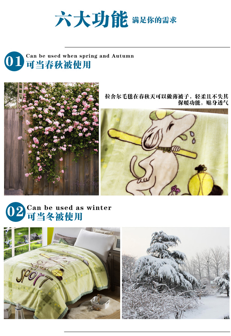 
                                        加厚毛毯盖毯毯子学生毯拉舍尔毯珊瑚绒毯子双层加厚包边金丝边毯双层双面冬毯 4斤-浅棕 150*200cm双层加厚                