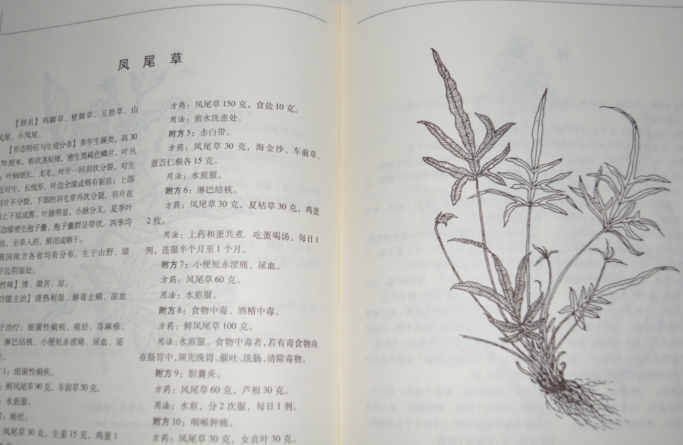 神农本草经百草良方图文版原文译文注释精装16开4册本