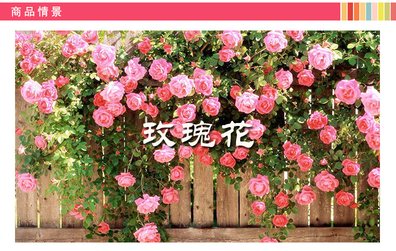 
                                        乐宅 可移除墙贴纸 浪漫温馨墙壁平面布置贴画 客厅电视背景卧室床头装饰  婚房布置                