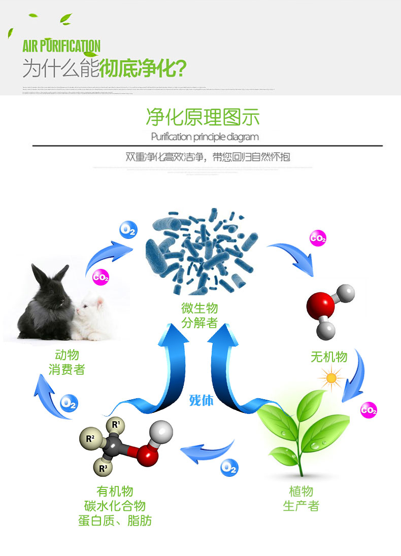 微芬   汽车新房装修除味甲醛清除剂 家用型室内净味喷雾剂孕妇可用5秒见效 100ml