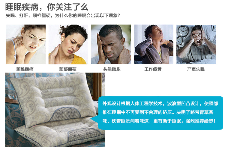 
                                                            枕芯枕头决明子薰衣草荞麦药草护颈枕学生宿舍单人枕头芯一对拍2 蓝格-单只装                