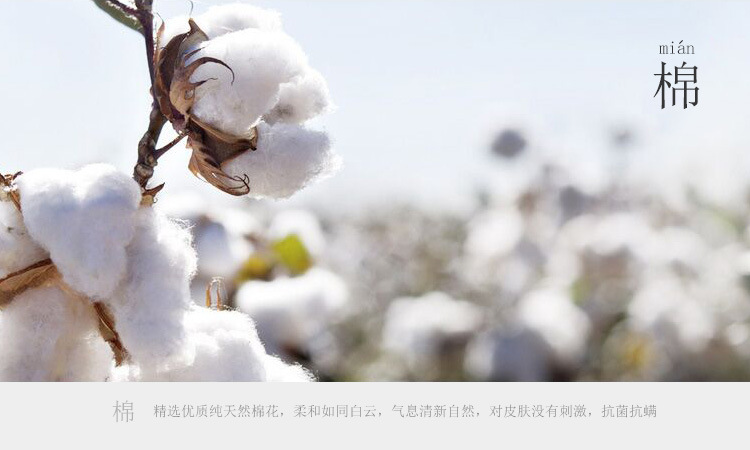 薇薇陈品2015女装条纹长袖t恤打底衫加厚加绒78 黑白条纹加绒 S