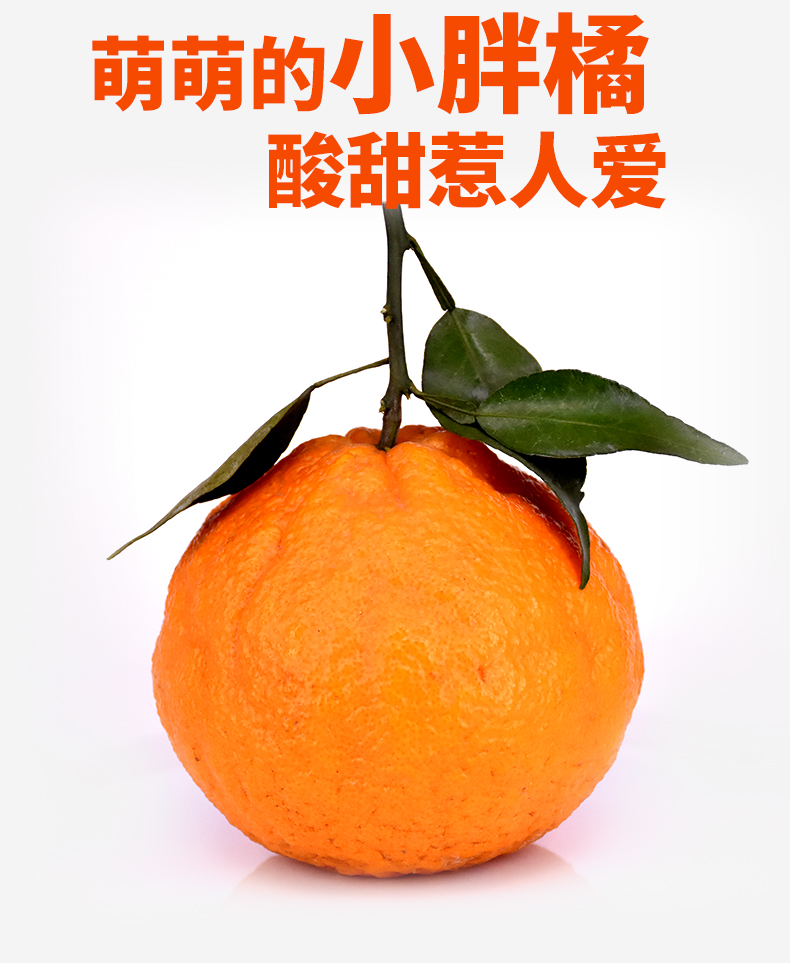珍锐 四川不知火丑橘丑柑大果耙耙柑2.5kg 新鲜水果 5