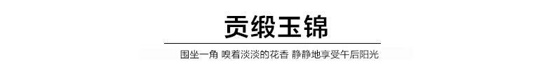 
                                        梦雅莉 沙发垫套装四季通用布艺防滑坐垫简约现代沙发套全包套沙发罩巾全盖椅子飘窗垫 碧涵 90*70cm单条装                