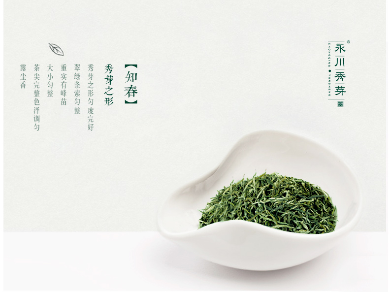 云升茶叶绿茶2019新茶 重庆特产名茶礼盒茶 早春永川秀芽知春150g