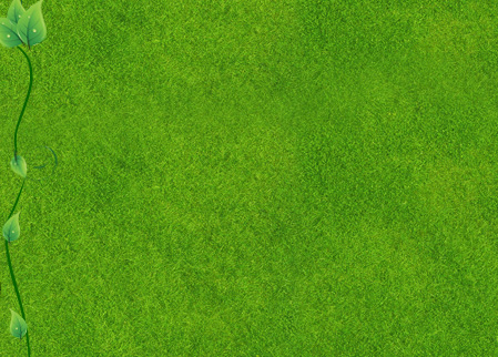 海酷丽汽车用品专营店 - 京东