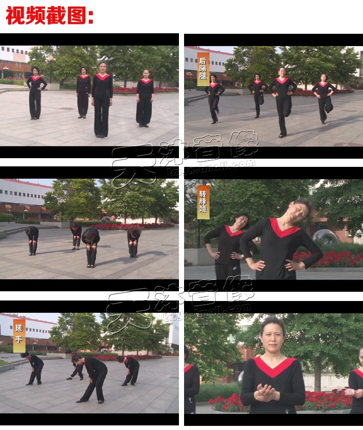 八段锦/回春操66节/五行健身操教学教程3dvd视频光盘碟片