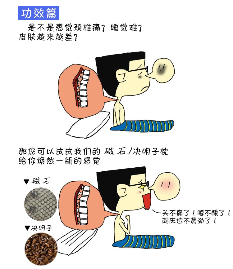 
                                                            枕芯枕头决明子薰衣草荞麦药草护颈枕学生宿舍单人枕头芯一对拍2 蓝格-单只装                