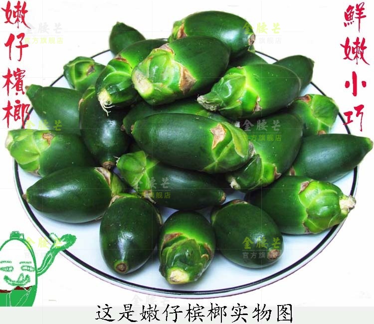 海南特产 生槟榔水果 新鲜青槟榔果 嫩仔 带配料(甜 苦贝壳粉)500克