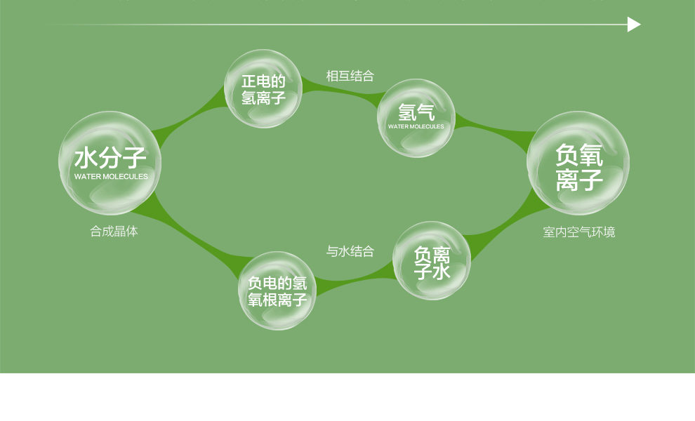 格林·森特 藻钙汽车除甲醛去味800g 汽车除味专用车用空气清新 新车净化去味除甲醛