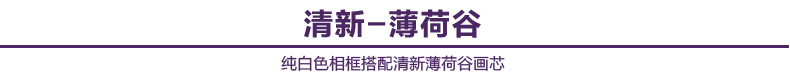梦雅莉 实木照片墙组合 墙贴相片墙 相框墙创意 客厅相片框 HD-1668 黑白原胡送萌动画芯