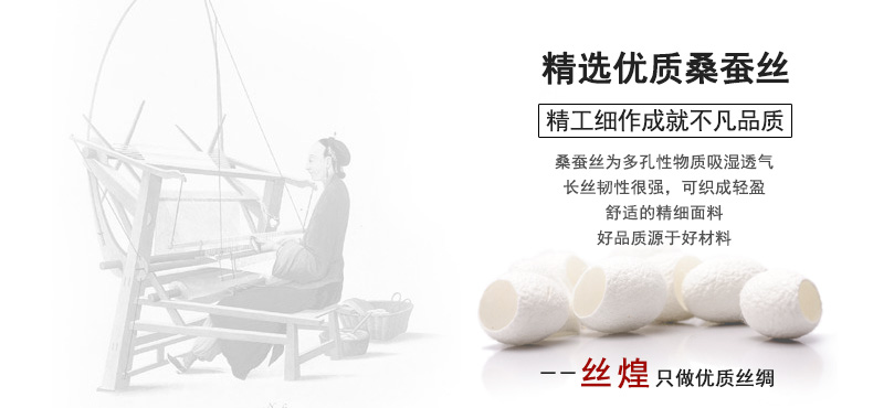 
                                                            丝煌提花真丝枕套100%桑蚕丝19姆米加厚枕头套单人 引领时尚白1489 一只48x74cm                