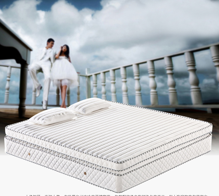 尼尔诗帝 进口天然5CM乳胶双人床垫席梦思 指