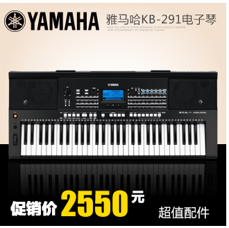 yamaha雅马哈电子琴kb309成人61键儿童老人幼师初学考级专业演出力度