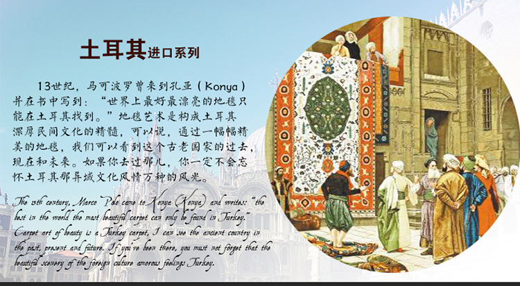 卓缘 土耳其原装进口 蓝色地中海风 白色简欧家居 客厅卧室地毯 新品 J247A  咖啡色 120*170CM