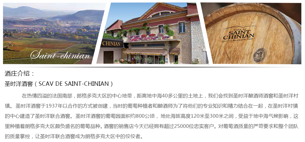 【米兰酒业】法国原瓶进口IGP红酒 2016圣迪