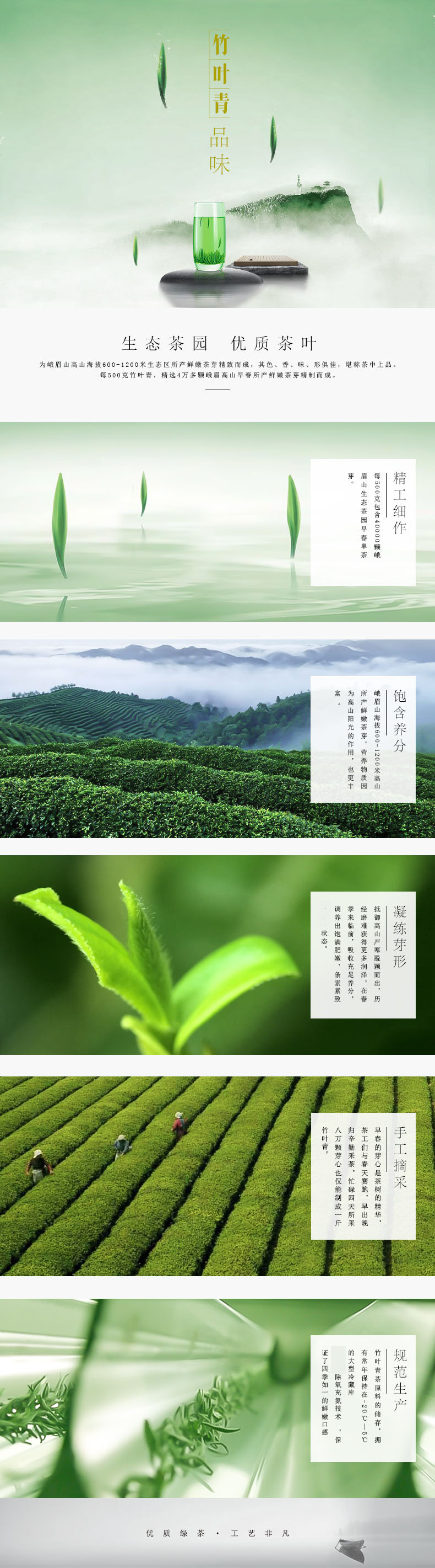 【新茶上市】竹叶青 品味级绿茶茶叶明前春茶节庆礼盒