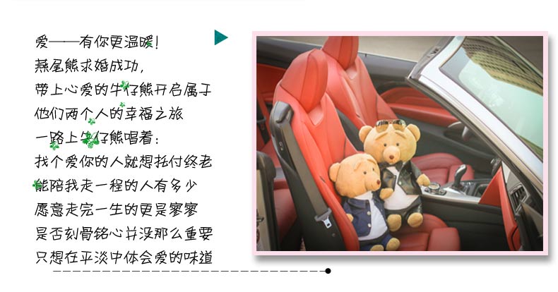 
                                        博弘防爆热水袋充电暖宝宝卡通暖手宝送女友老婆闺蜜生日礼品创意 燕尾熊单个价                