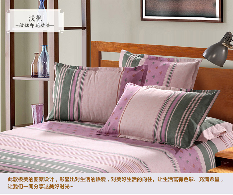 
                                        美棉坊家纺 全棉印花枕套 床上用品 粗布/活性印花/几何/大气枕套 夏之风-枕套                