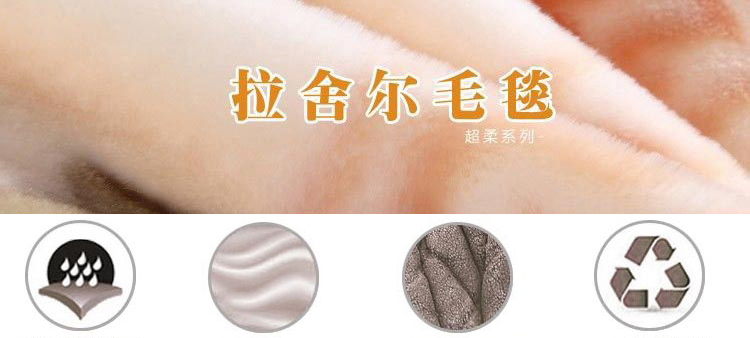 
                                        尚品凤凰 秋冬大毯子双层加厚拉舍尔毛毯 魅惑豹纹 160*210cm/5斤                