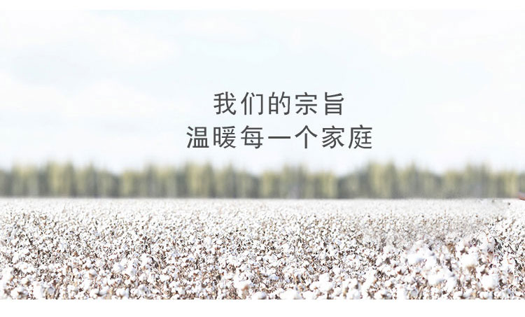 摩亚 超柔云貂绒毛毯 法莱绒毯子 加厚加密保暖空调毯 午睡盖毯 时尚条纹 100*150m