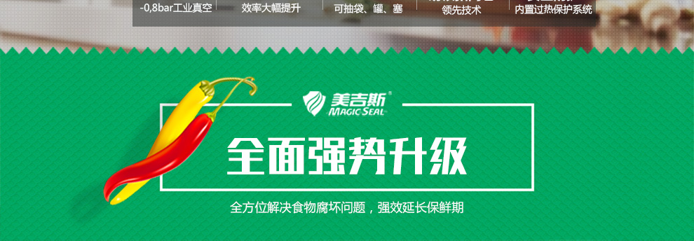 
                                                                                美吉斯（MAGIC SEAL） 美吉斯MS1160立式全自动真空包装机食品保鲜机小型家用                