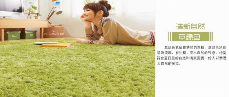 梦雅莉 现代简约 丝毛地毯 客厅茶几地毯卧室满铺床边毯地垫门垫 轻奢酒红 0.4*0.6米