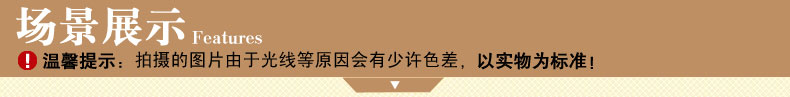 
                                        青格勒 走廊进门垫 丙纶玄关脚垫地垫 卧室书房浴室入户门垫 1255B藏蓝色 800*1200MM                