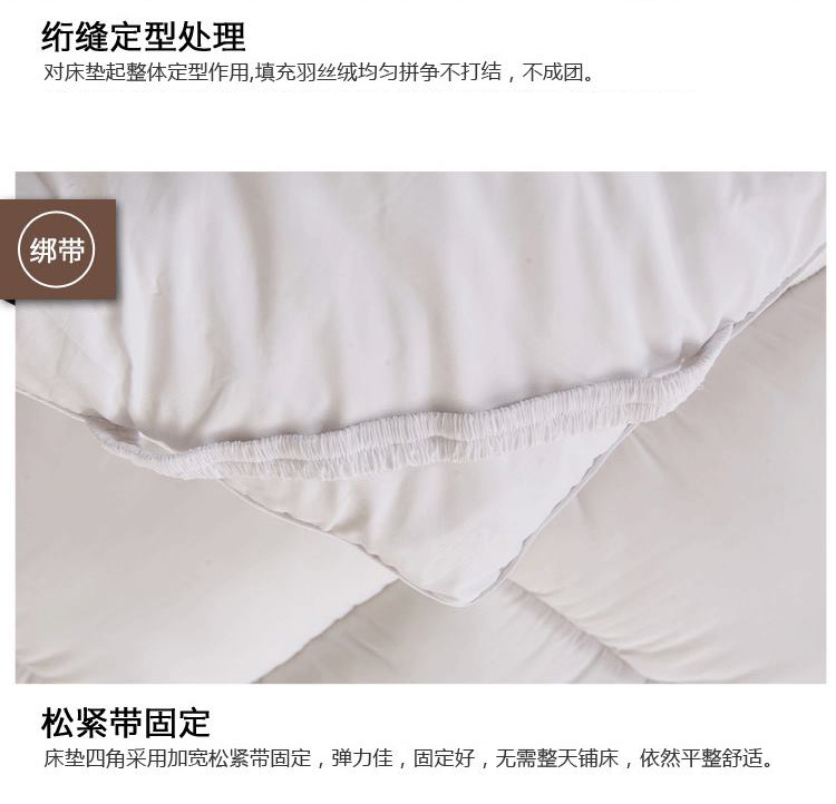 
                                        度艾妮家纺 羽丝绒床垫床褥子 加厚柔软舒适 单双人学生宿舍垫被 灰色-标准5cm 90*200cm                