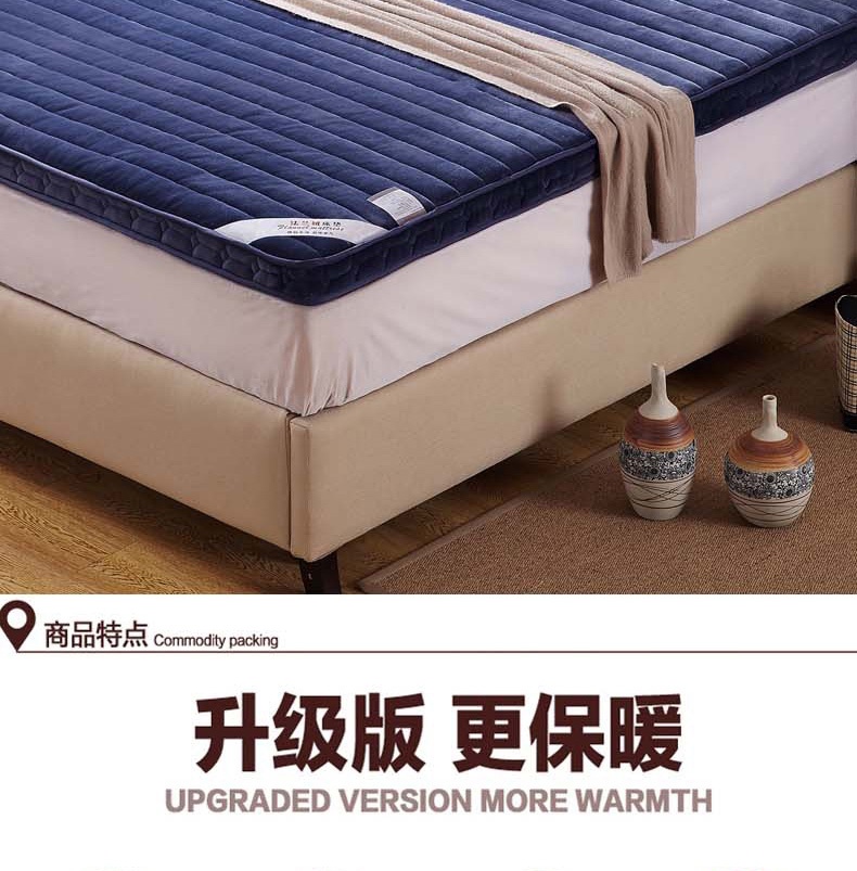 
                                        暖莎家纺 床垫单人双人立体加厚珊瑚绒法莱绒 学生宿舍床褥子 立体法莱绒浅兰 90cm*200cm                