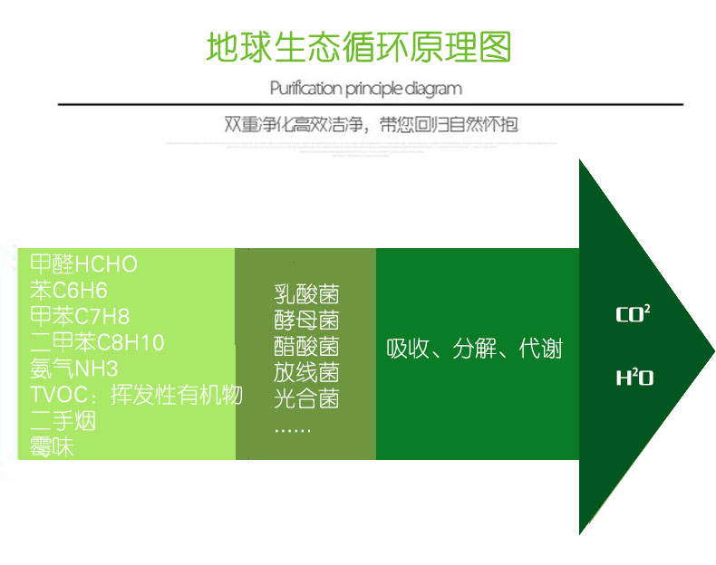 微芬   汽车新房装修除味甲醛清除剂 家用型室内净味喷雾剂孕妇可用5秒见效 100ml