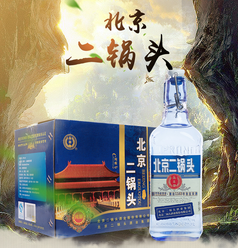 永丰牌方瓶二锅头 北京二锅头蓝瓶42度 500ml*12瓶礼盒装 出口小方瓶