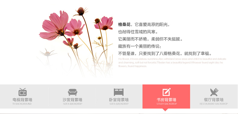 
                                        积累小家11.11家装节创格桑花可移除3D立体墙贴壁贴电视背景墙儿童房装饰 蓝色-3块/套 中                
