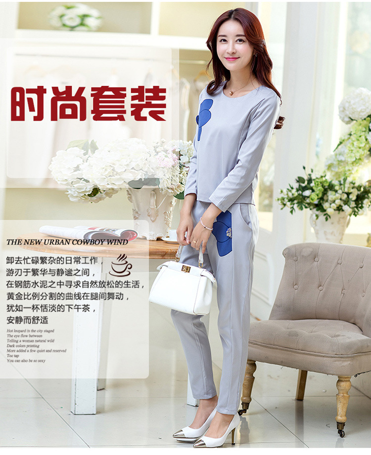 格妮娅2015女装套装秋季新品时尚印花长袖两件套职业休闲长裤女潮 浅灰色 XXL