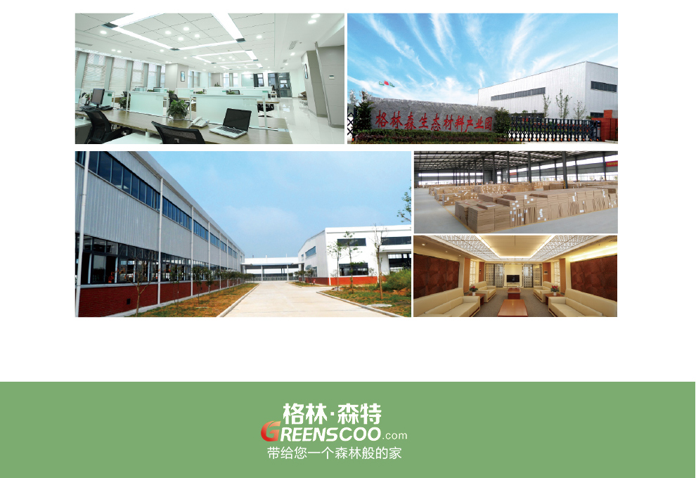 格林·森特 藻钙装修除甲醛空气净化系列 新房装修家具去除甲醛苯油漆味 甲醛甲苯异味清除剂 装修除醛宝 200G*16袋/箱